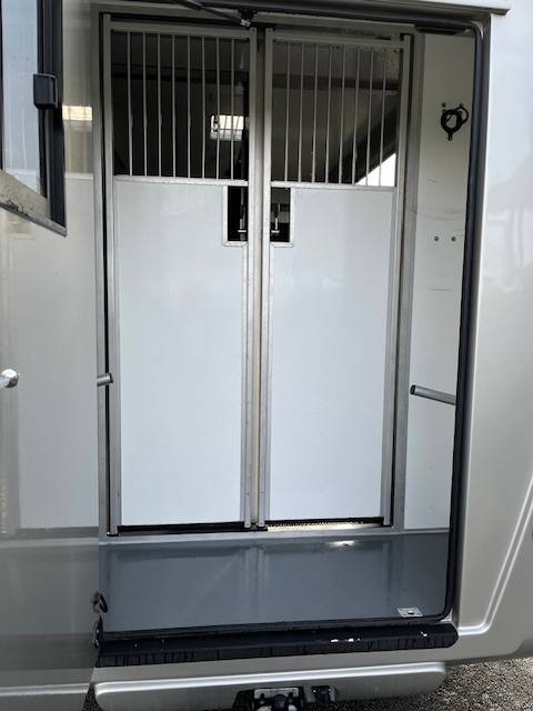 Kleine paardenvrachtwagen (B rijbewijs) STX Master 2022 2022 Tweedehands