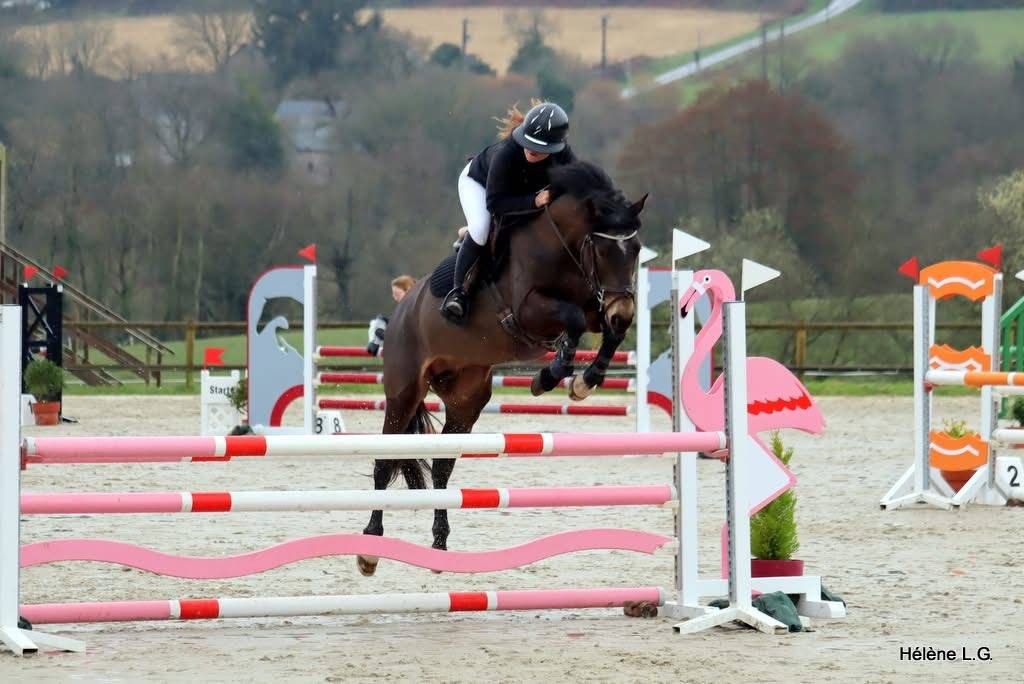 Jupiter d'Arquetan - Franse rijpony PFS 2019 ,  IWAN DE VILLATE