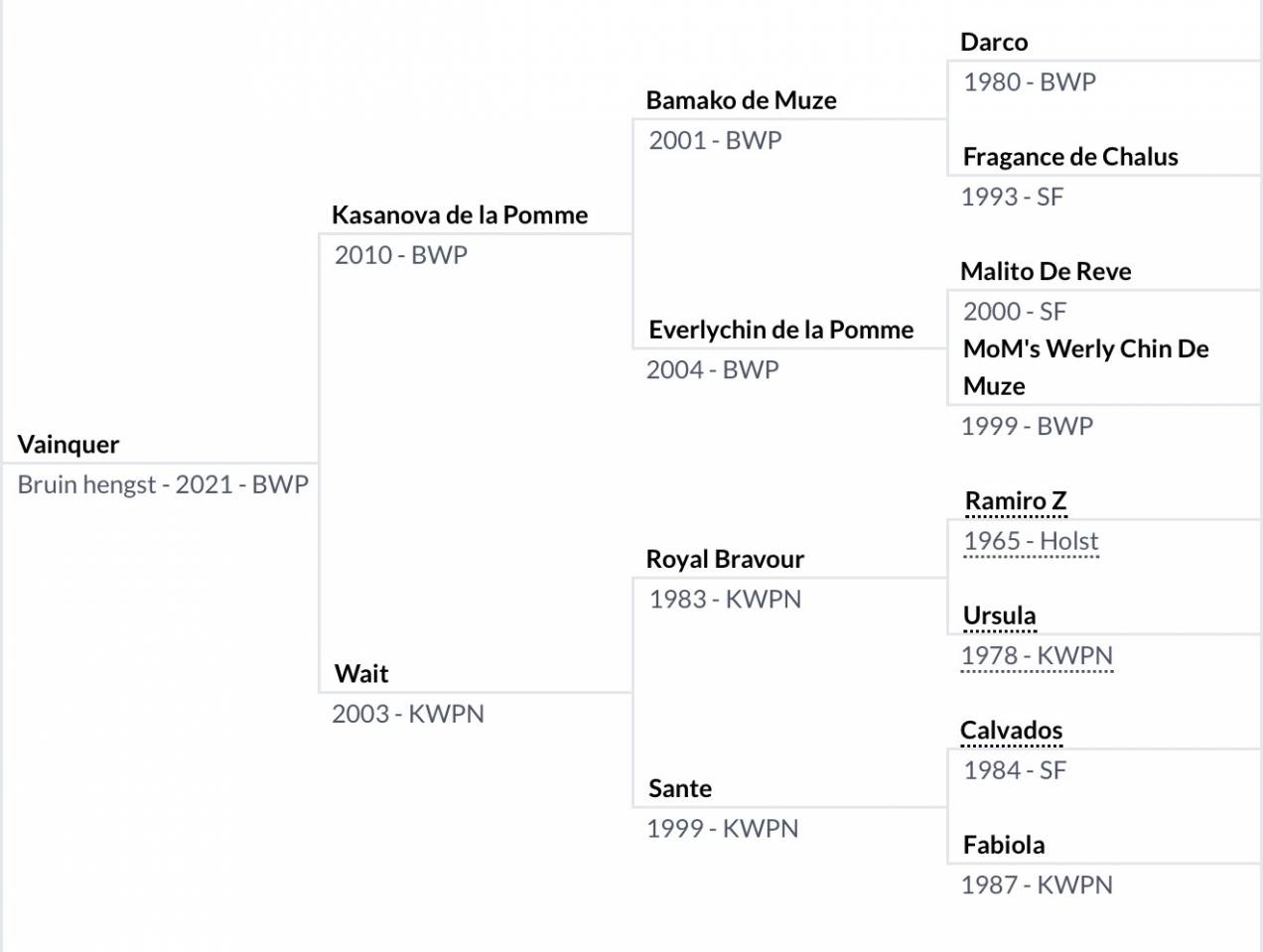 4,5 jarige springpaard van Kasanova de la pomme
