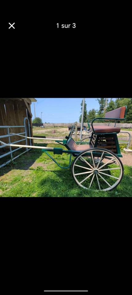 Rijtuigen - Ander rijtuig - Ander merk - Caravoine 