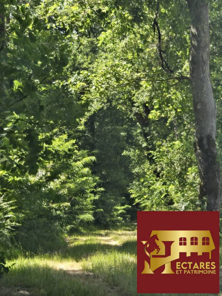 Eigenaren stal Koop Gironde