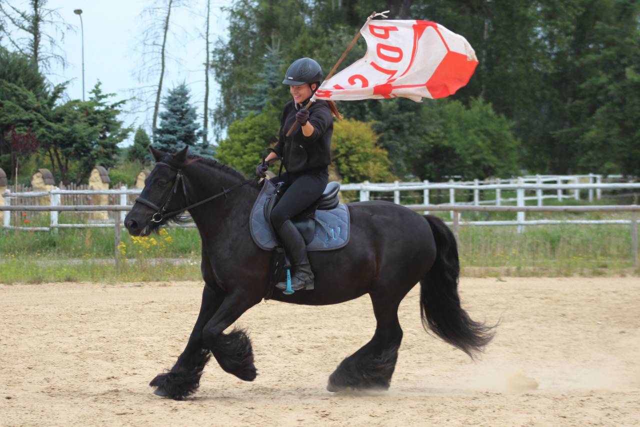 Merrie Fell Pony Te koop 2021 Zwart ,  Goodshapes Inferno