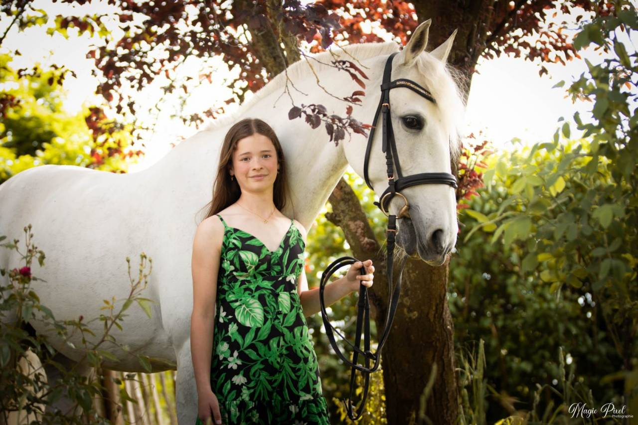 Merrie Lusitano Te koop 2014 Schimmel