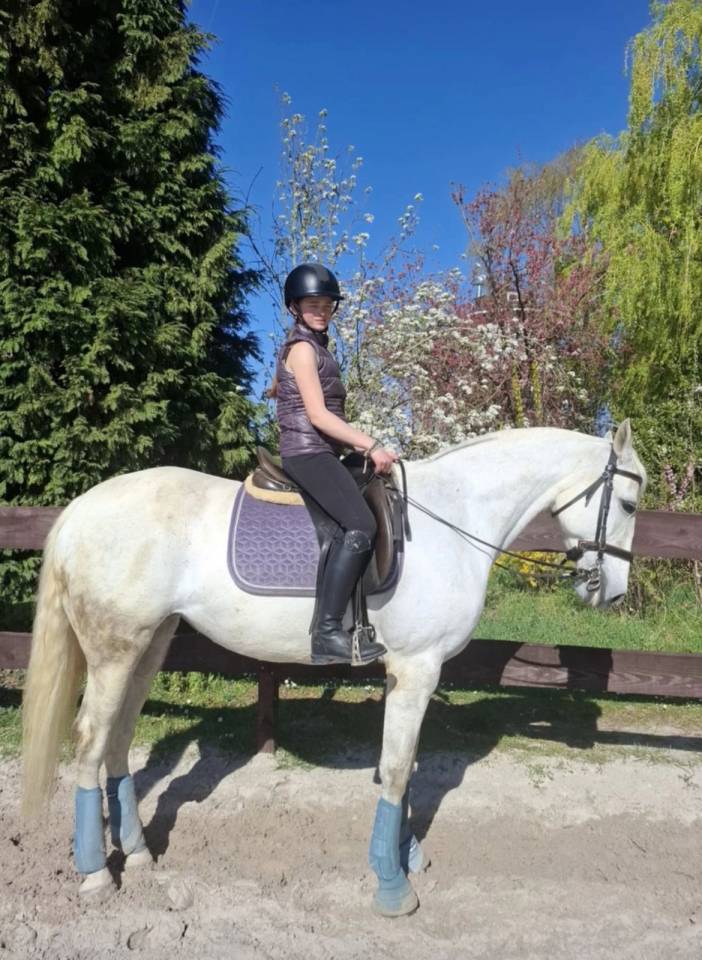 Merrie Lusitano Te koop 2014 Schimmel