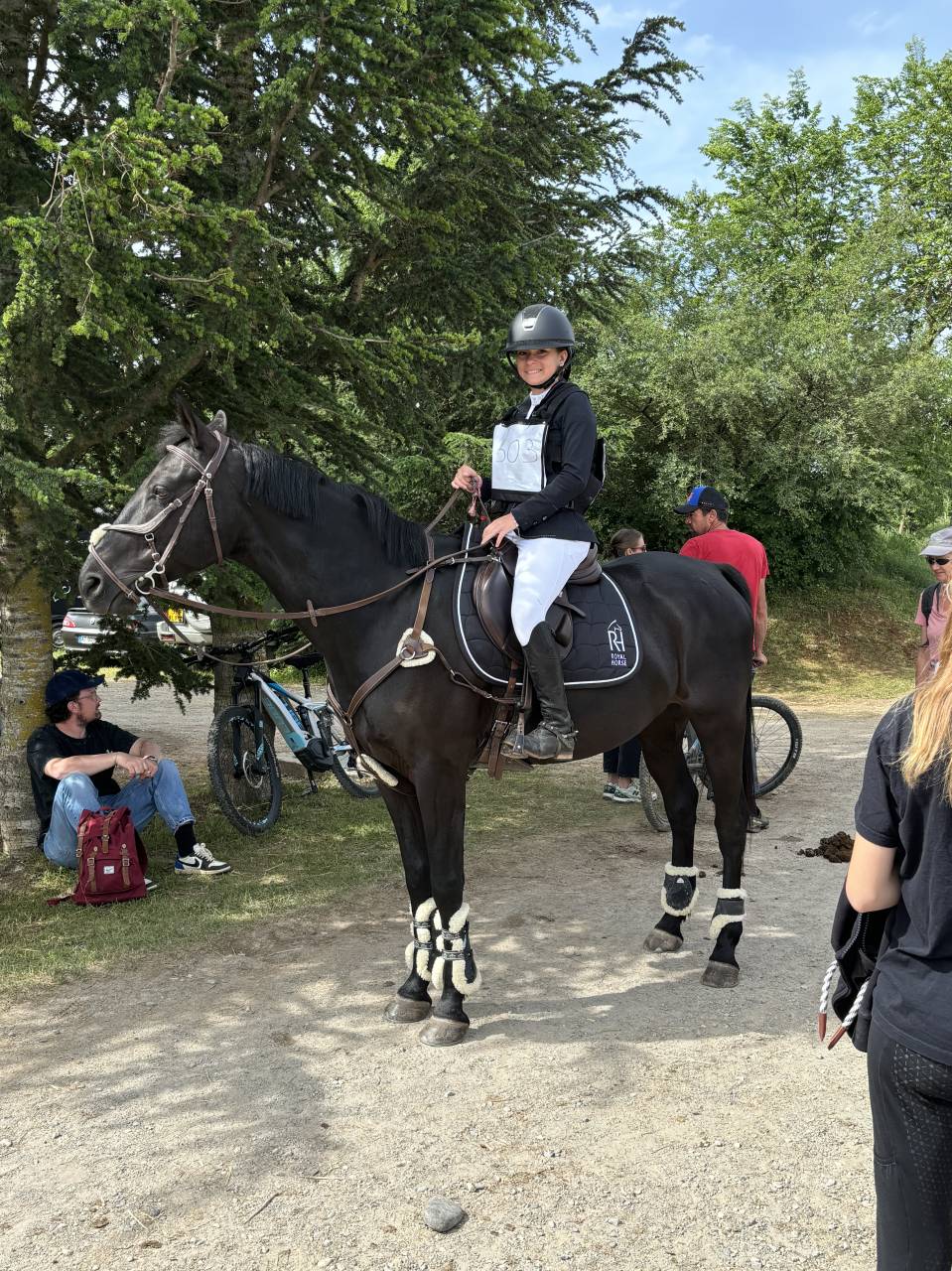 Ruin Franse rijpony PFS Te koop 2011 Zwart ,  HILKENS BLACK DELIGHT