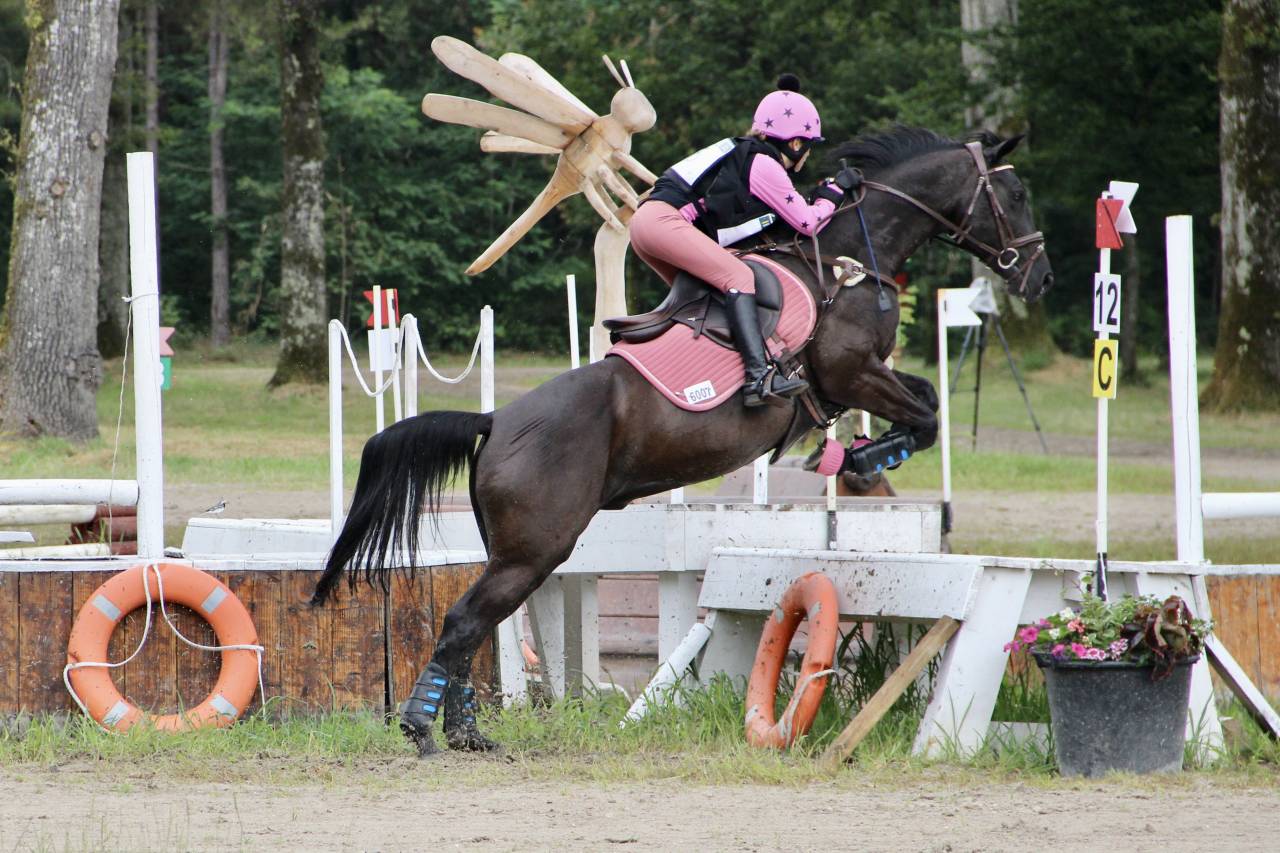 Ruin Franse rijpony PFS Te koop 2011 Zwart ,  HILKENS BLACK DELIGHT