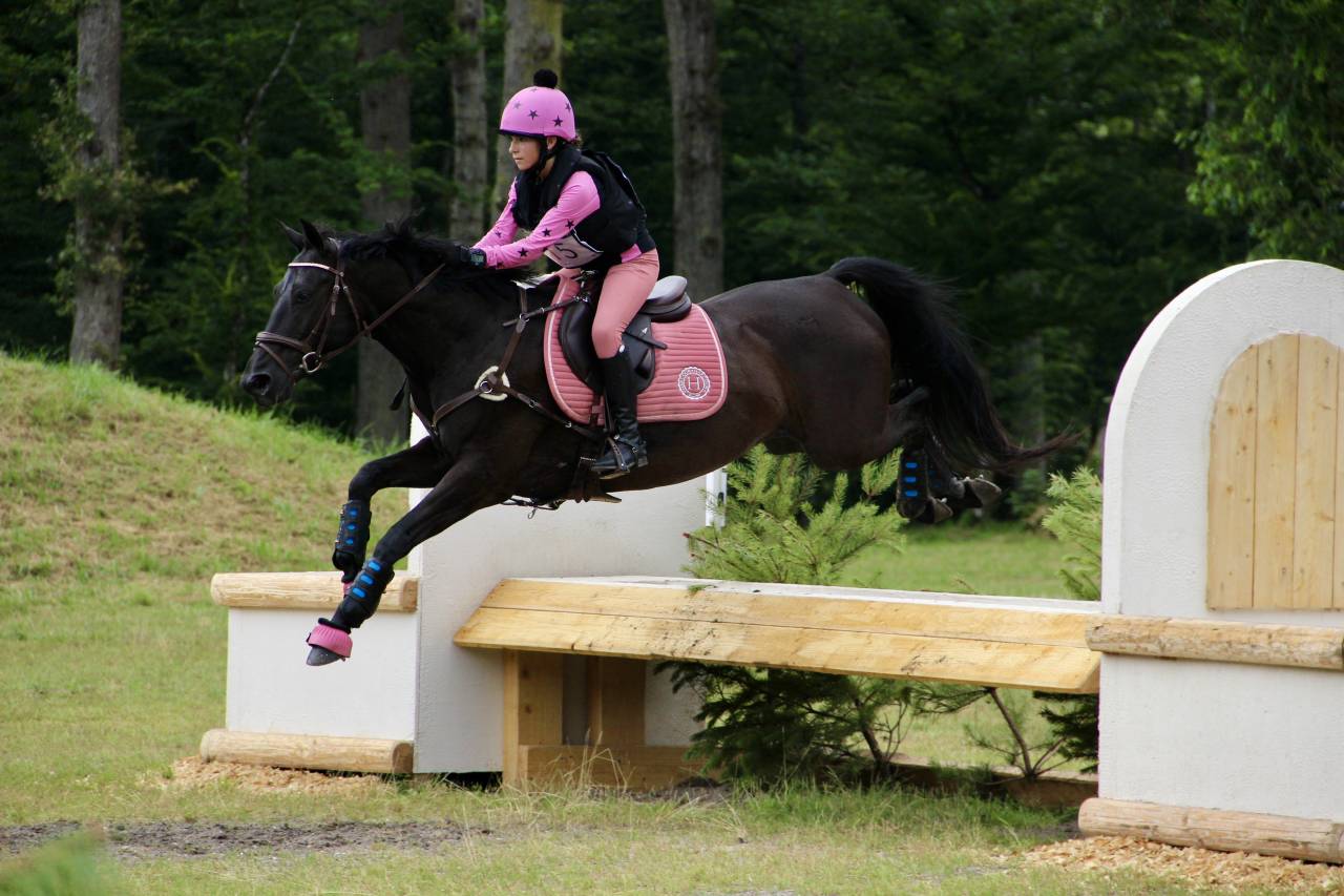 Ruin Franse rijpony PFS Te koop 2011 Zwart ,  HILKENS BLACK DELIGHT