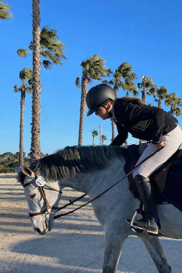 Hengst Selle Fran&ccedil;ais Te koop 2017 Schimmel ,  DIAMANT DE SEMILLY