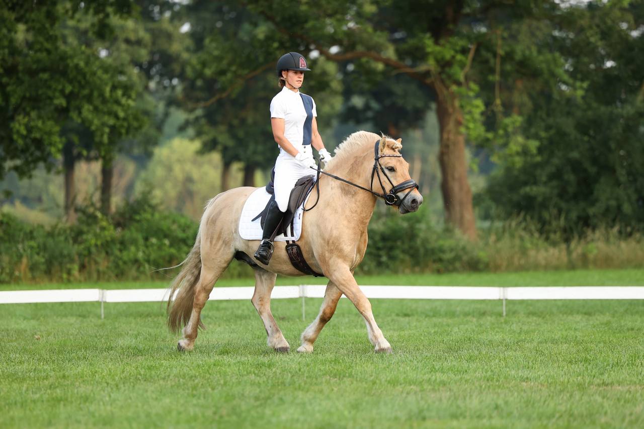 Fjordenruin, R&ouml;dblakk