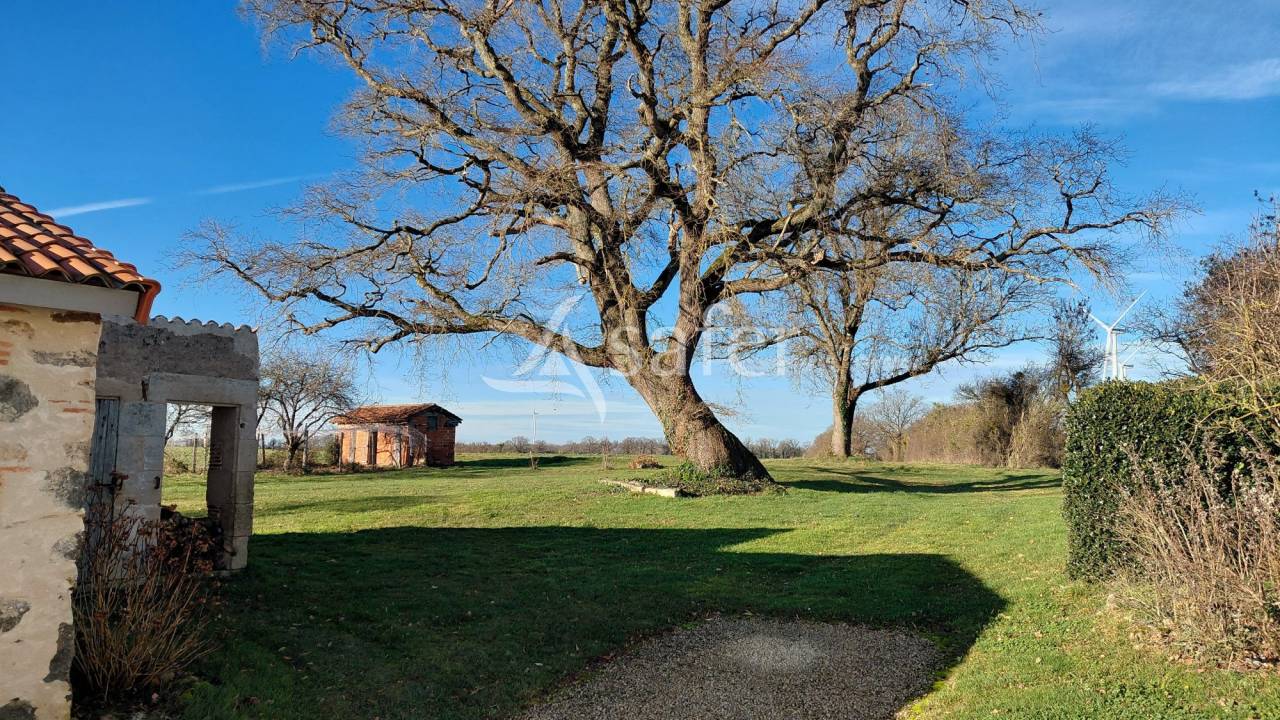 Landbouw bedrijf Koop Vienne