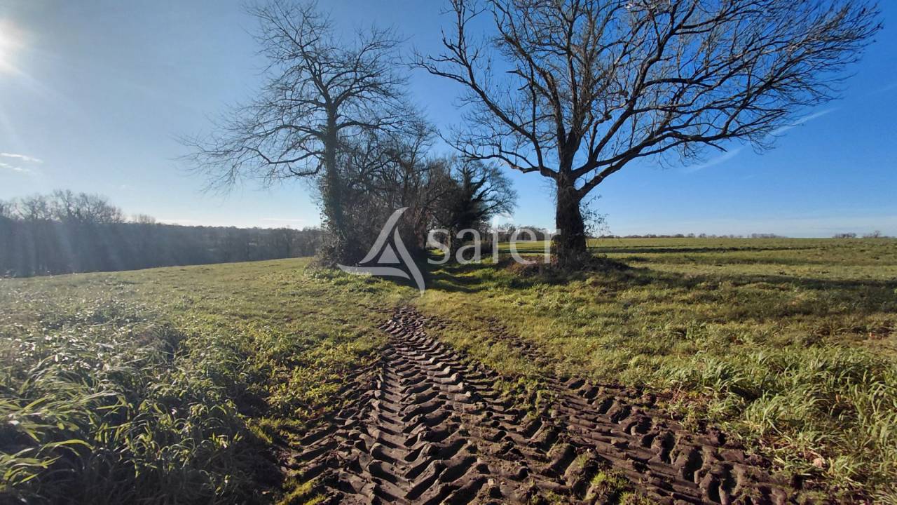 Landbouw bedrijf Koop Vienne