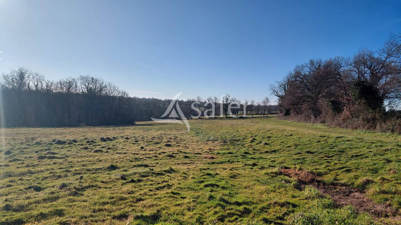 Landbouw bedrijf Koop Vienne