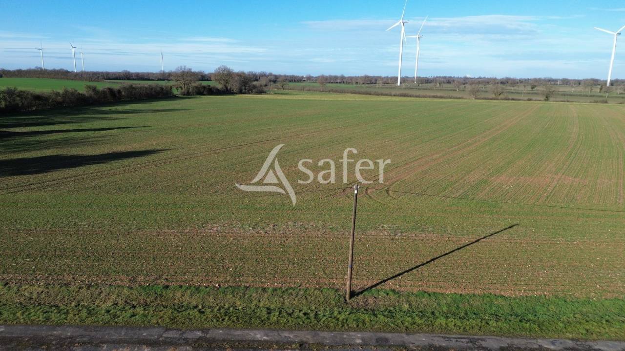 Landbouw bedrijf Koop Vienne