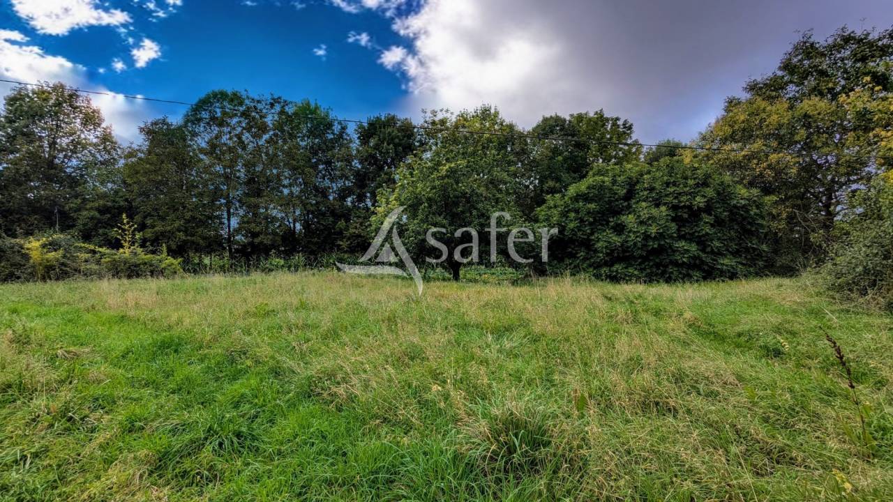 Ander plattelands vastgoed Koop Deux-S&egrave;vres