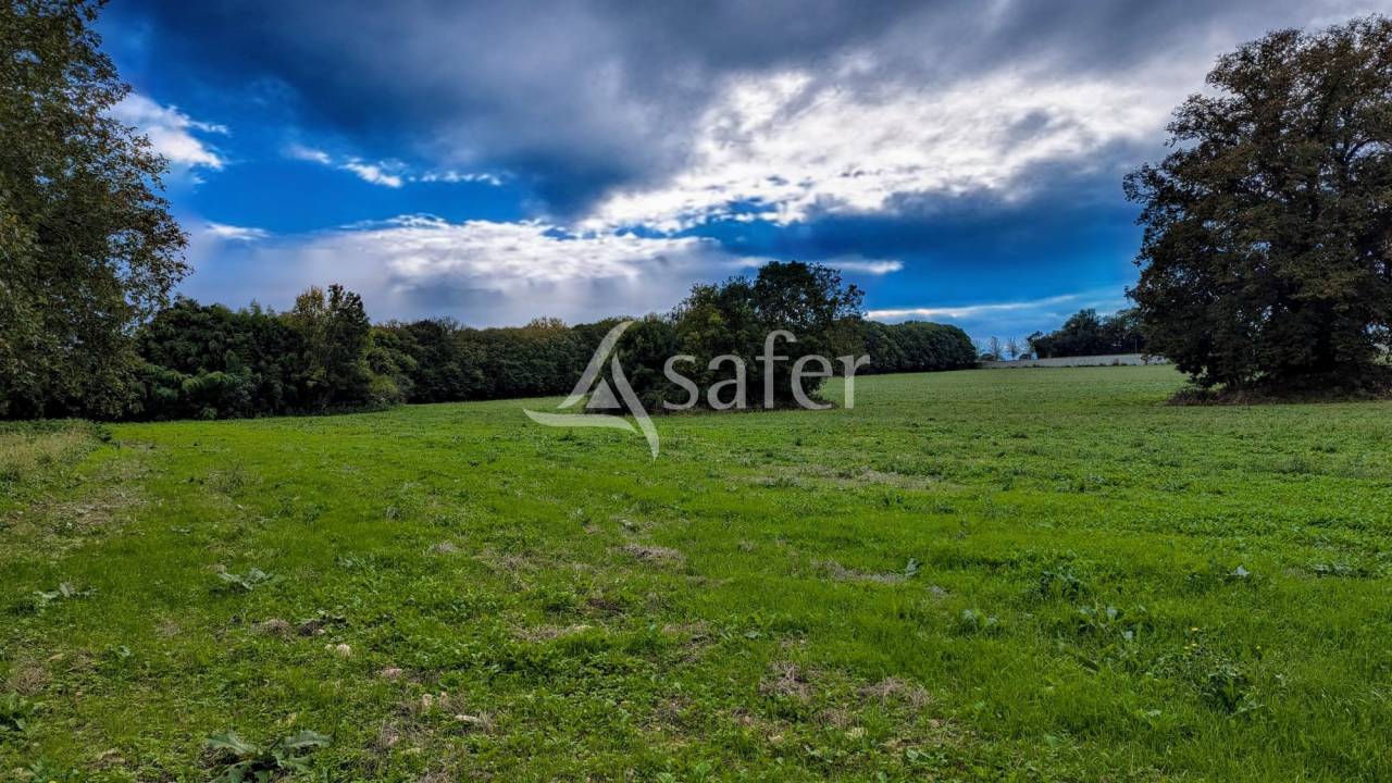 Ander plattelands vastgoed Koop Deux-S&egrave;vres