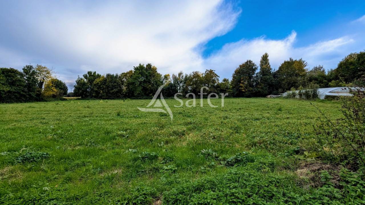 Ander plattelands vastgoed Koop Deux-S&egrave;vres