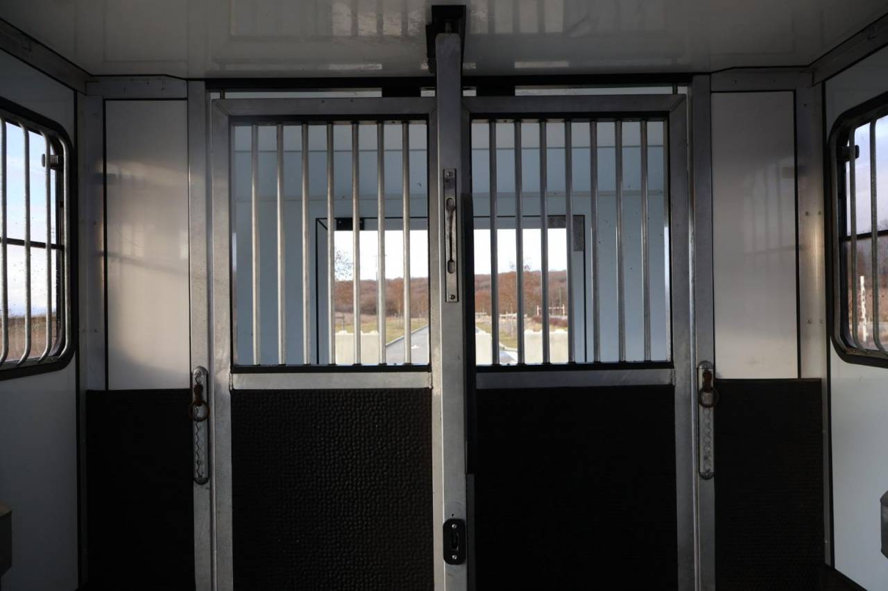 Kleine paardenvrachtwagen (B rijbewijs) Cavalcar MASTER CAVALCAR 2022 Tweedehands