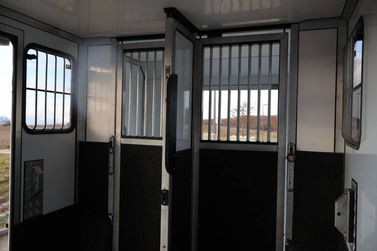 Kleine paardenvrachtwagen (B rijbewijs) Cavalcar MASTER CAVALCAR 2022 Tweedehands