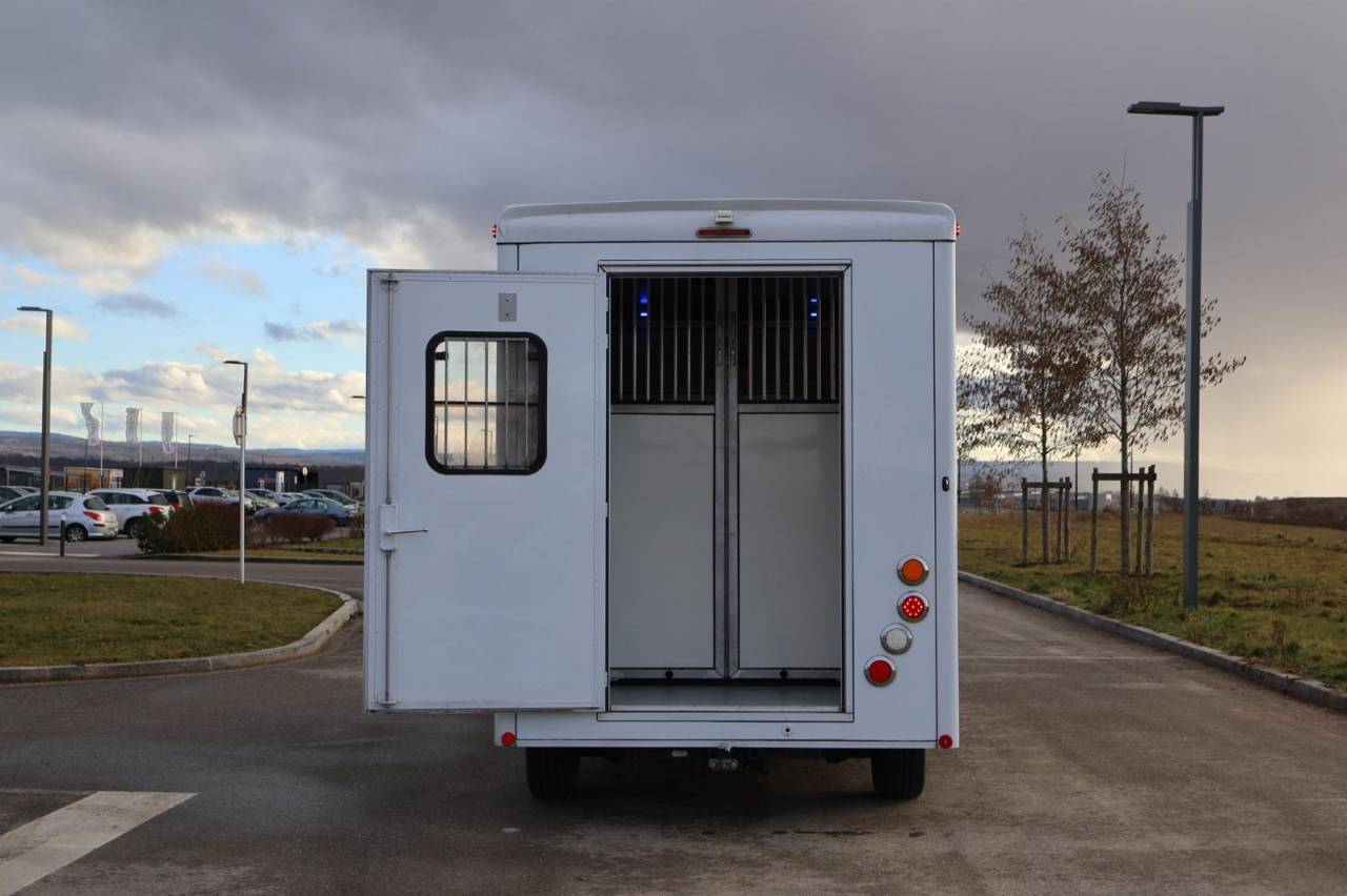 Kleine paardenvrachtwagen (B rijbewijs) Cavalcar MASTER CAVALCAR 2022 Tweedehands