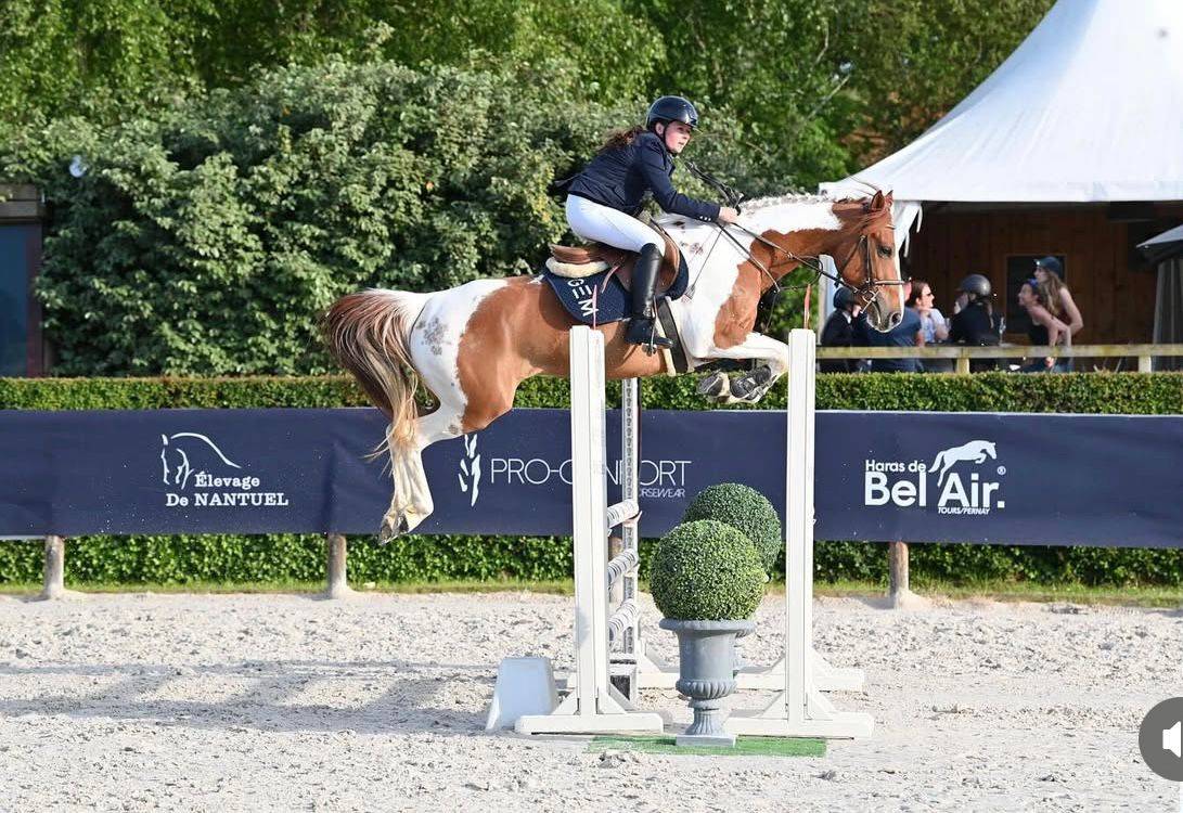 Merrie Bekend ras Te koop 2019 Bont