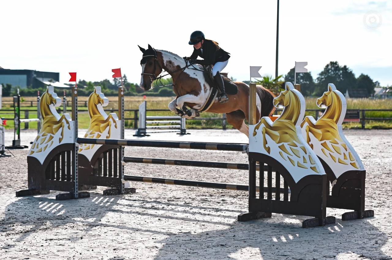 Merrie Bekend ras Te koop 2019 Bont