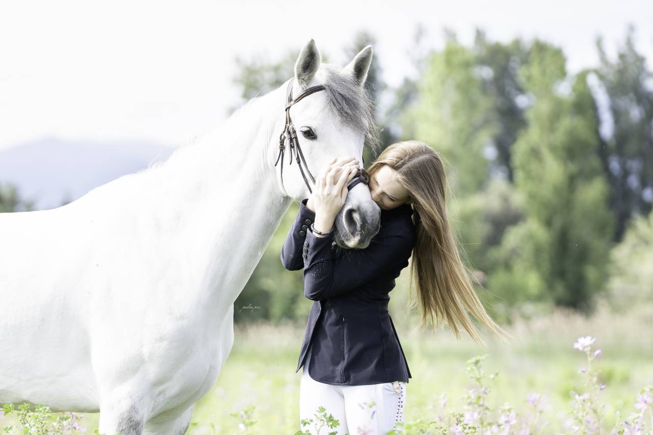 Ruin Connemara Te koop 2018 Schimmel