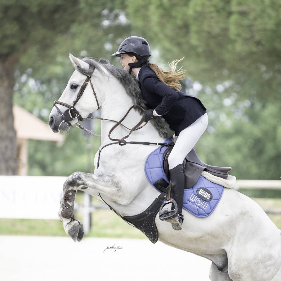 Ruin Connemara Te koop 2018 Schimmel