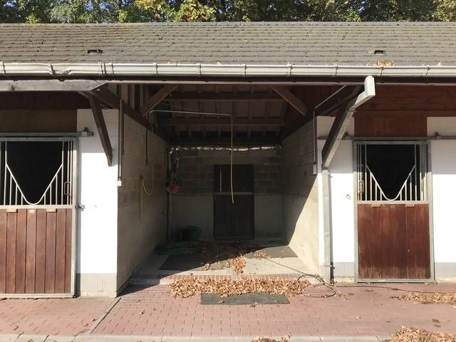 Eigenaren stal Koop Hainaut