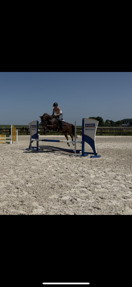 Merrie Andere pony rassen Te koop 2019 Vos ,  Kanca