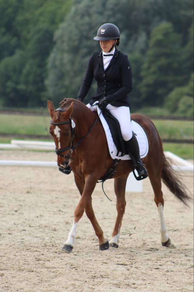 Merrie Andere pony rassen Te koop 2019 Vos ,  Kanca