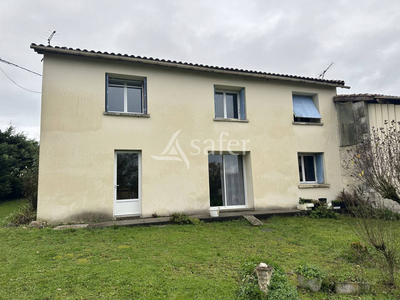 Schapen exploitatie Koop Charente