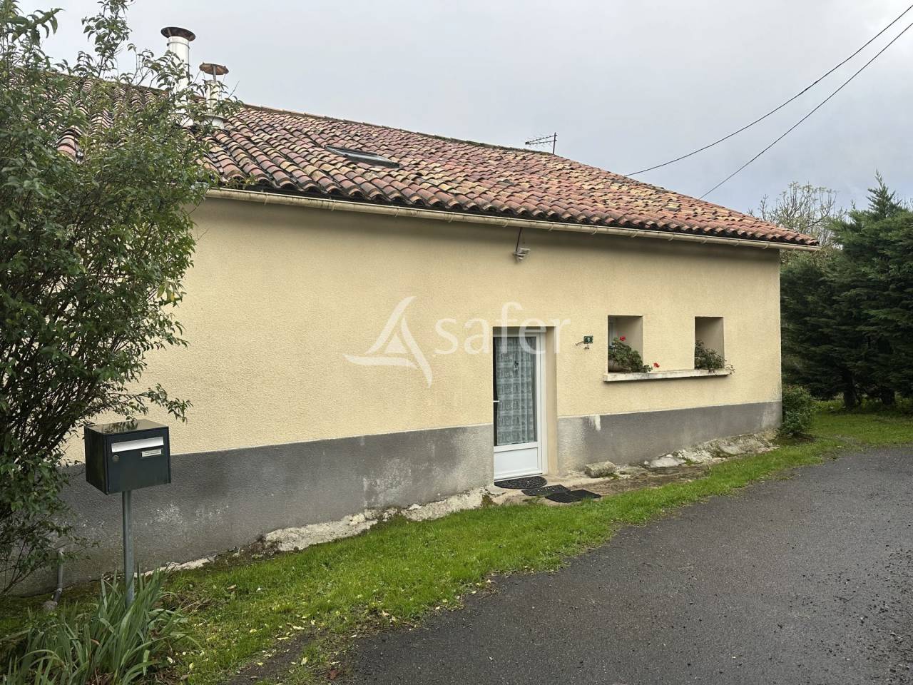 Schapen exploitatie Koop Charente