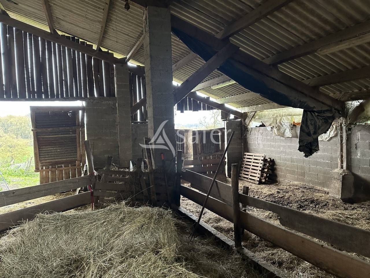 Schapen exploitatie Koop Charente