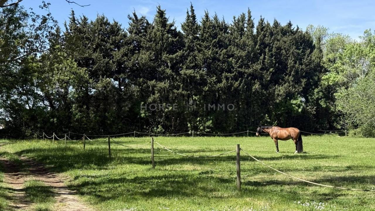 Hippisch vastgoed Koop Bouches-du-Rh&ocirc;ne