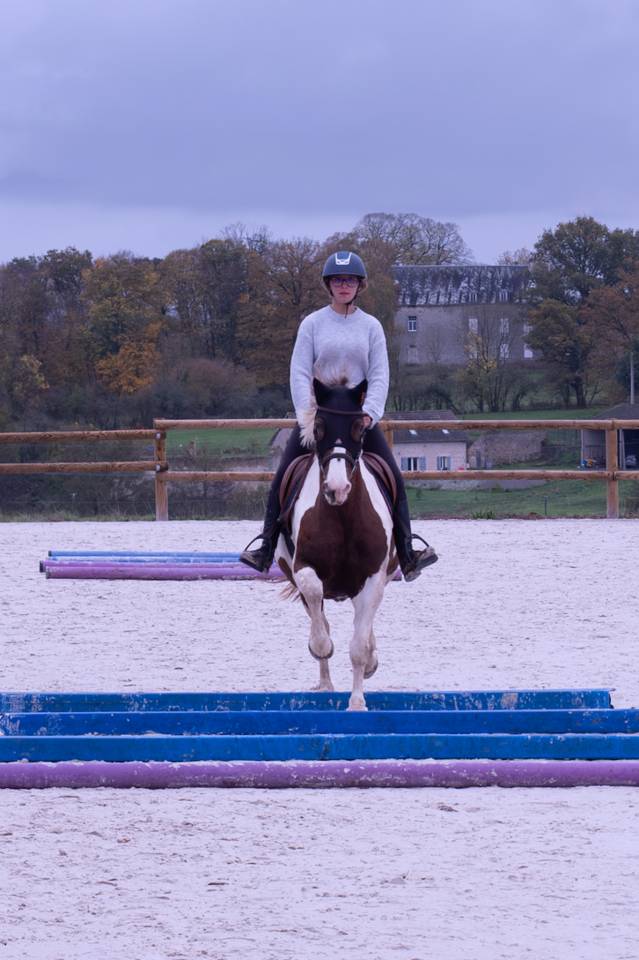 Merrie Ras onbekend Te koop 2011 Bont