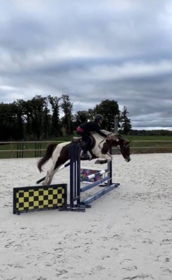 Merrie Ras onbekend Te koop 2011 Bont