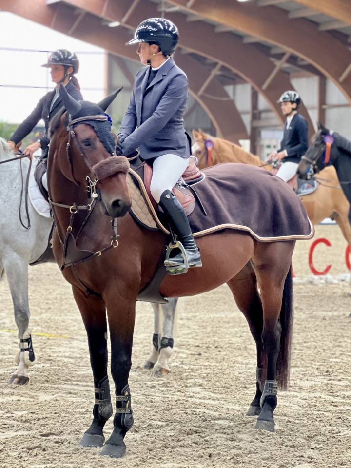 Merrie Selle Fran&ccedil;ais Te koop 2018 Bruin / Bai ,  Diego de Blondel