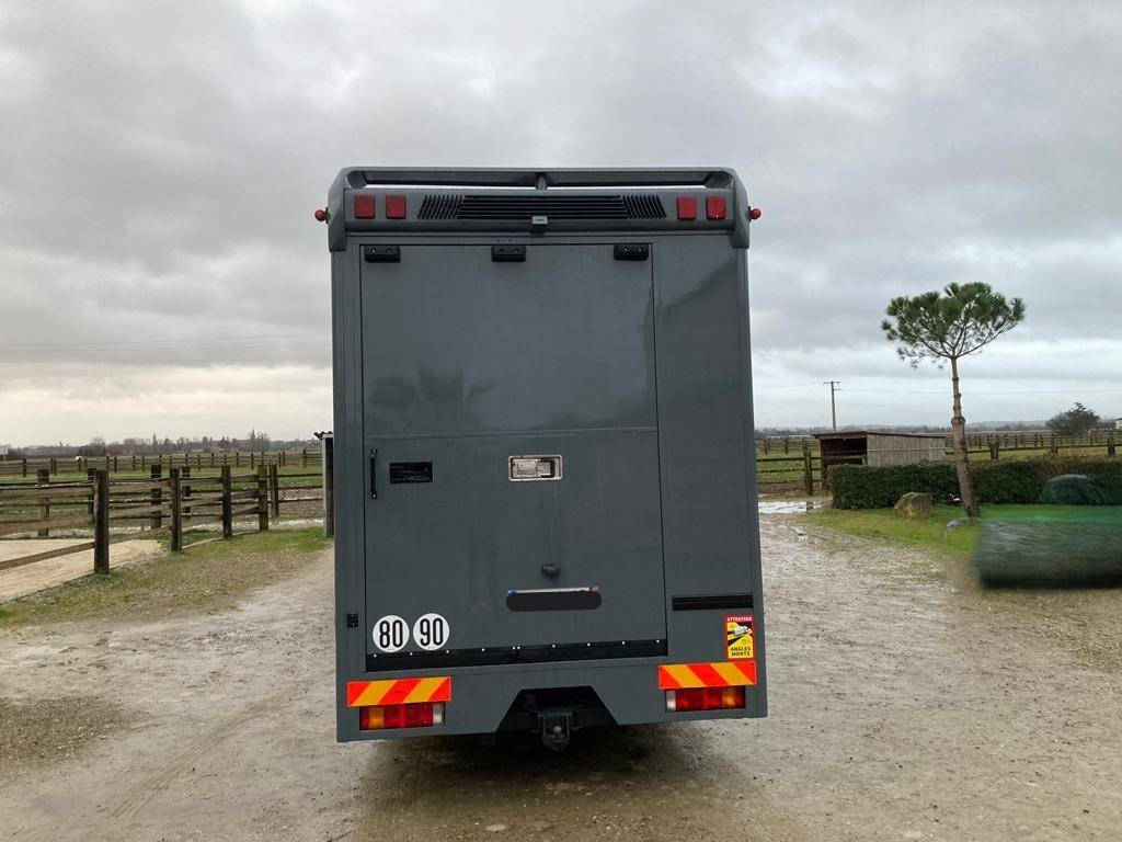 Zware paardenvrachtwagen (groot rijbewijs) Mercedes AK 2004 Tweedehands