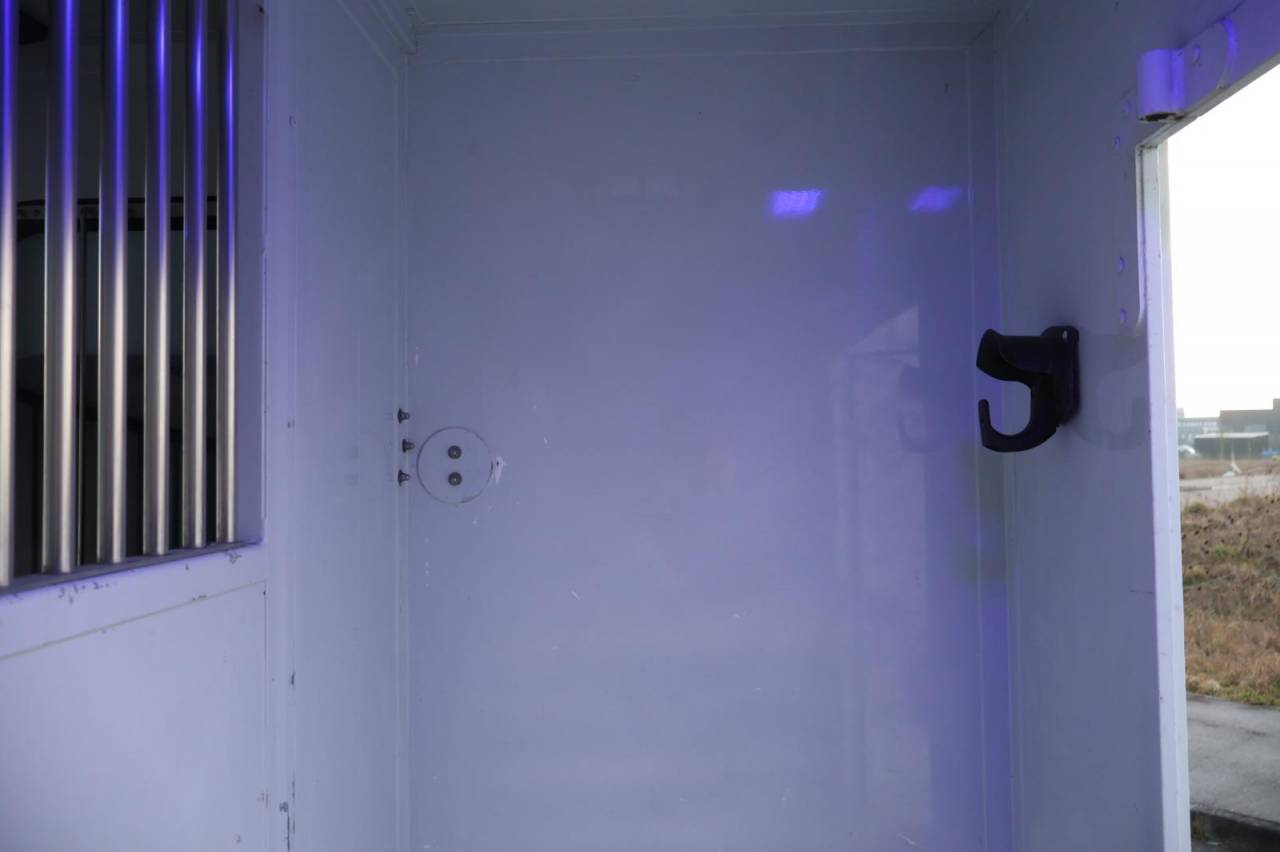 Kleine paardenvrachtwagen (B rijbewijs) MTM FILOVAN MASTER  2016 Tweedehands