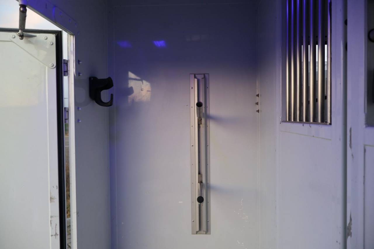 Kleine paardenvrachtwagen (B rijbewijs) MTM FILOVAN MASTER  2016 Tweedehands