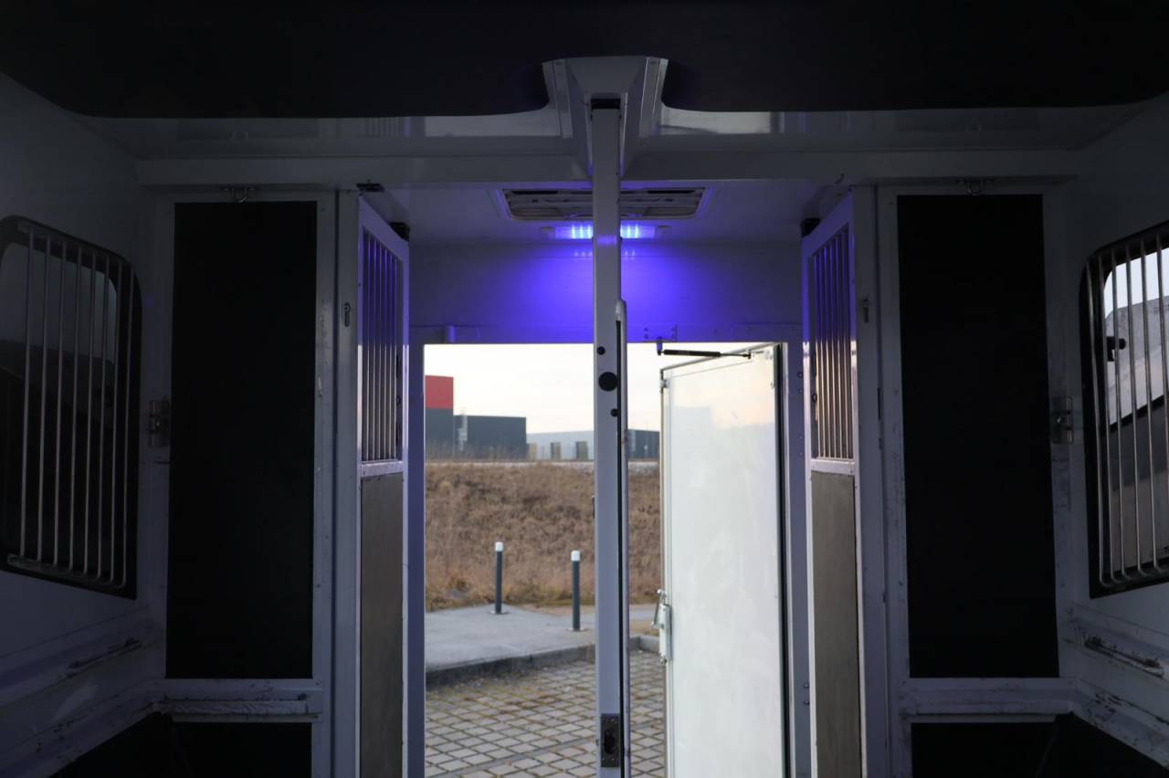 Kleine paardenvrachtwagen (B rijbewijs) MTM FILOVAN MASTER  2016 Tweedehands