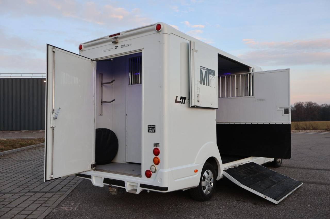 Kleine paardenvrachtwagen (B rijbewijs) MTM FILOVAN MASTER  2016 Tweedehands