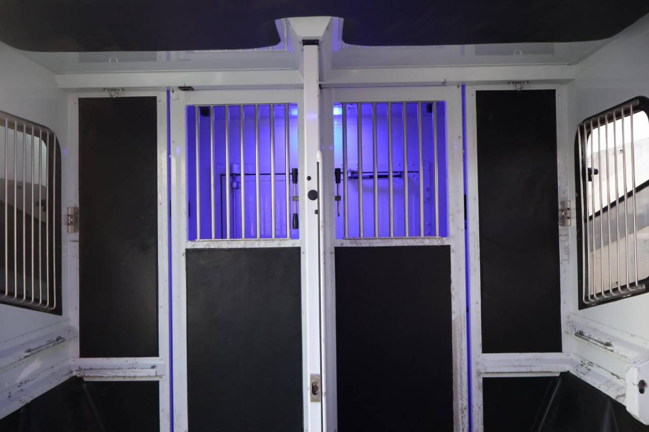 Kleine paardenvrachtwagen (B rijbewijs) MTM FILOVAN MASTER  2016 Tweedehands