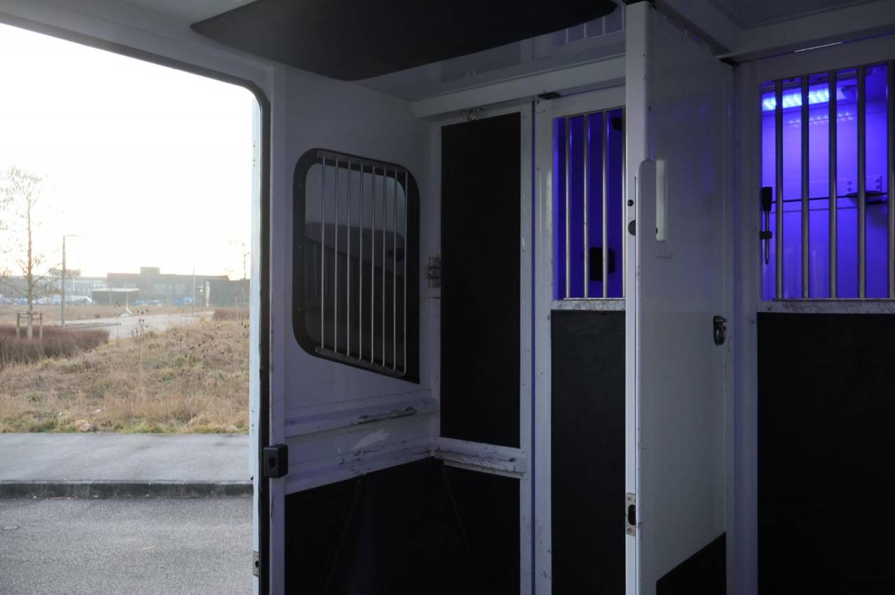 Kleine paardenvrachtwagen (B rijbewijs) MTM FILOVAN MASTER  2016 Tweedehands