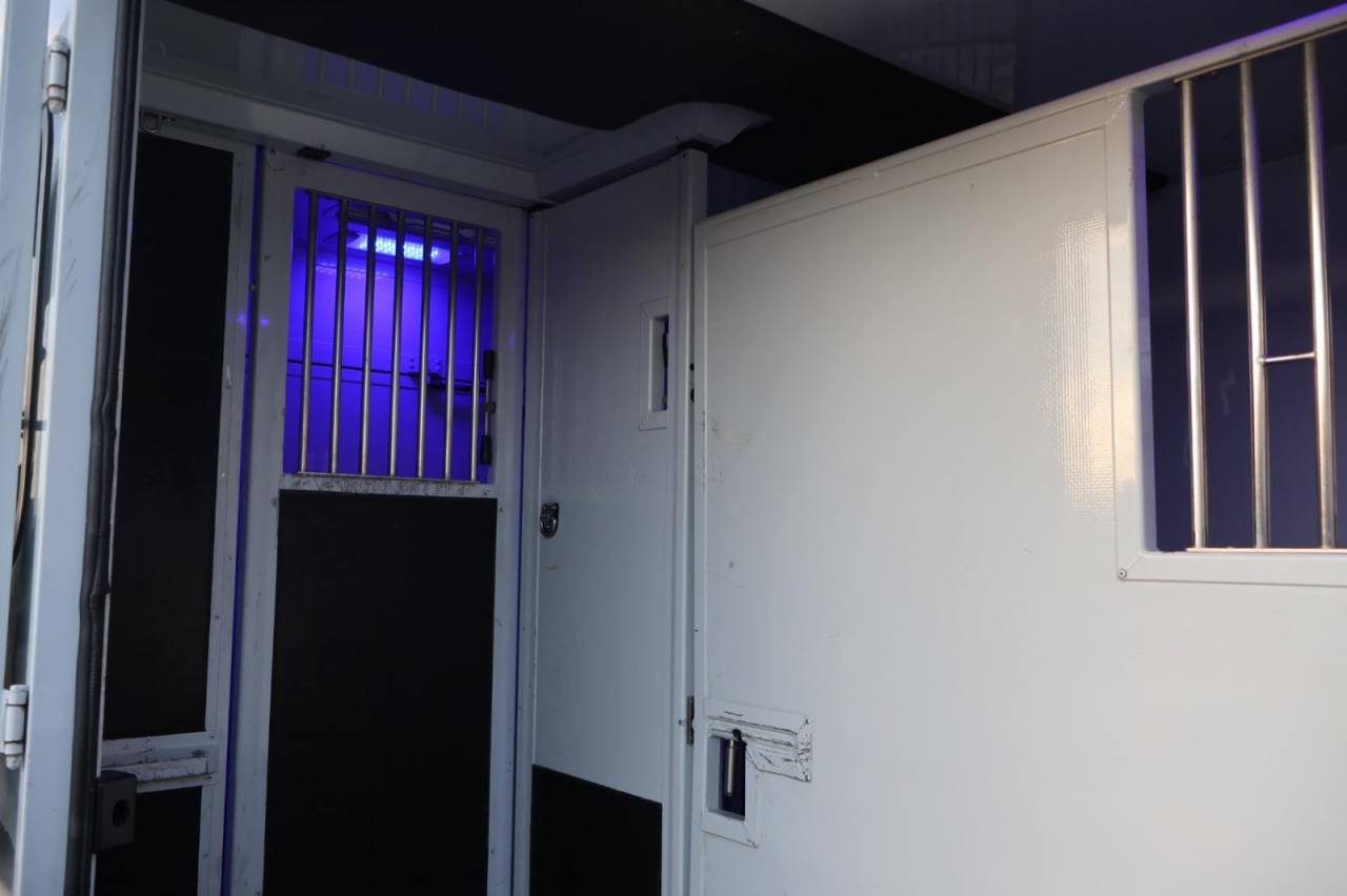 Kleine paardenvrachtwagen (B rijbewijs) MTM FILOVAN MASTER  2016 Tweedehands