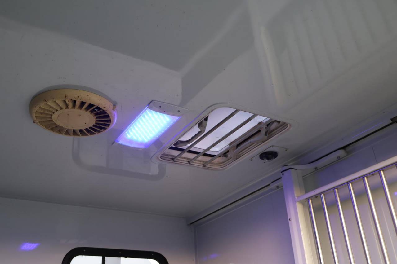 Kleine paardenvrachtwagen (B rijbewijs) MTM FILOVAN MASTER  2016 Tweedehands