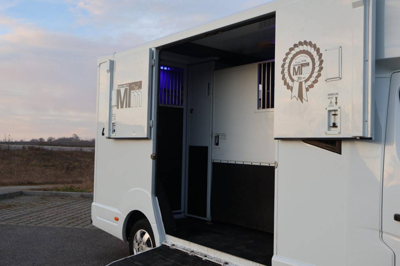 Kleine paardenvrachtwagen (B rijbewijs) MTM FILOVAN MASTER  2016 Tweedehands