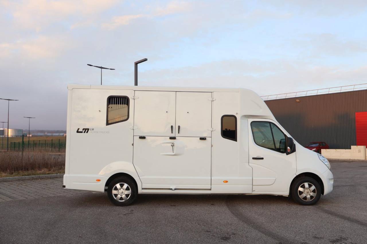 Kleine paardenvrachtwagen (B rijbewijs) MTM FILOVAN MASTER  2016 Tweedehands