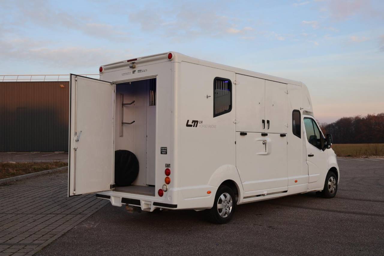 Kleine paardenvrachtwagen (B rijbewijs) MTM FILOVAN MASTER  2016 Tweedehands