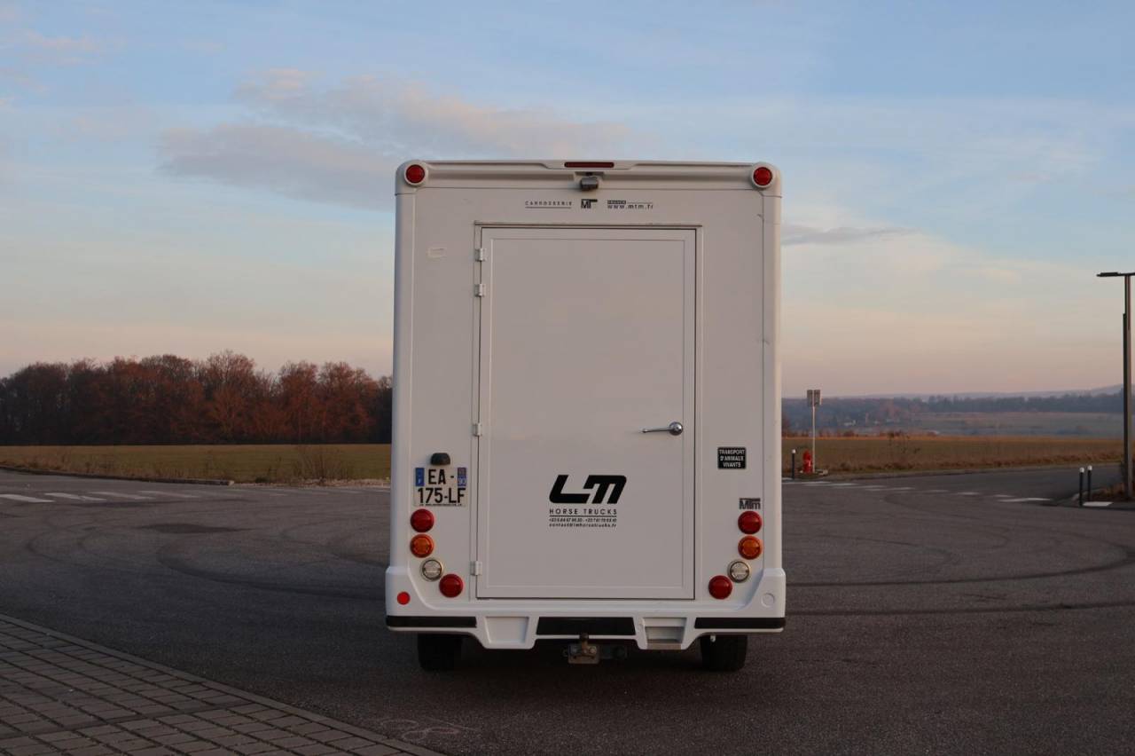 Kleine paardenvrachtwagen (B rijbewijs) MTM FILOVAN MASTER  2016 Tweedehands